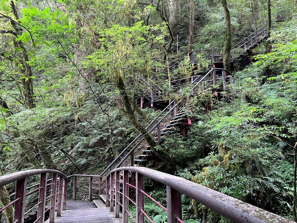 拉拉山國家森林遊樂區