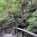 拉拉山國家森林遊樂區