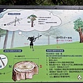 拉拉山國家森林遊樂區