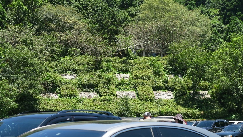 東眼山國家森林遊樂區