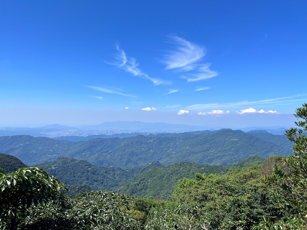 東眼山國家森林遊樂區