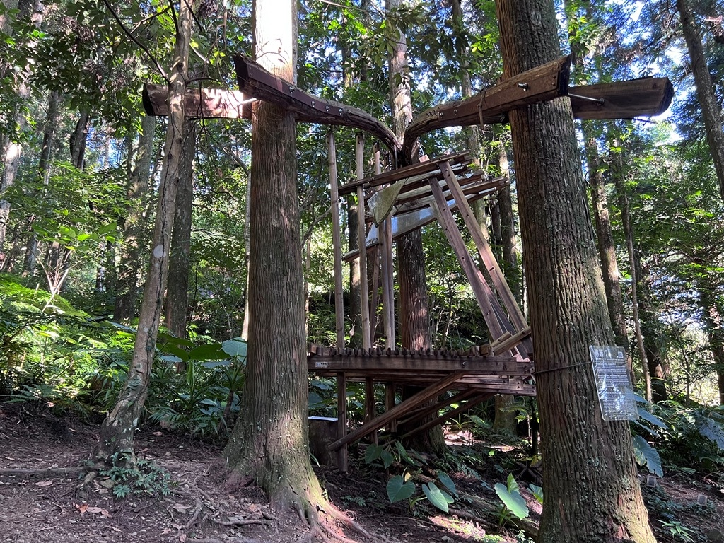 東眼山國家森林遊樂區