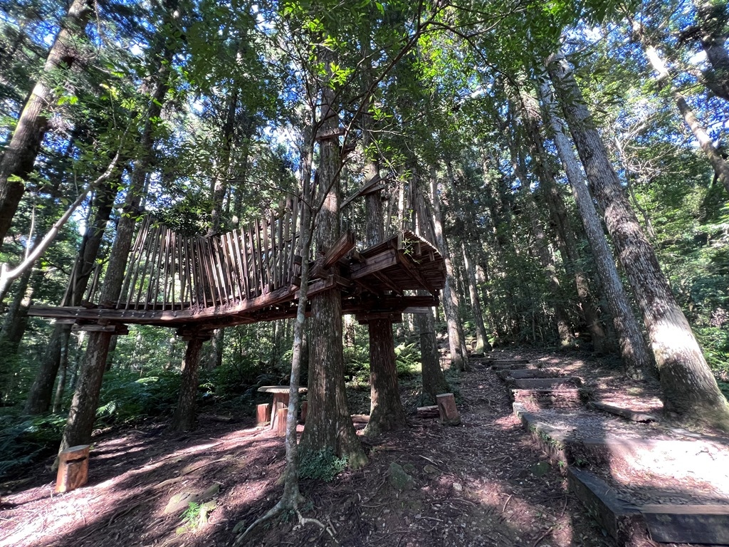 東眼山國家森林遊樂區