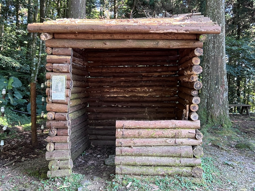 東眼山國家森林遊樂區