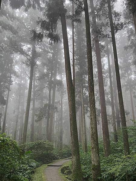 溪頭自然教育圈區