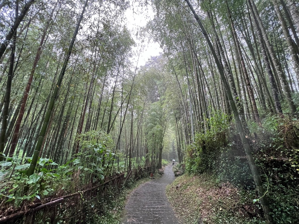 溪頭自然教育圈區