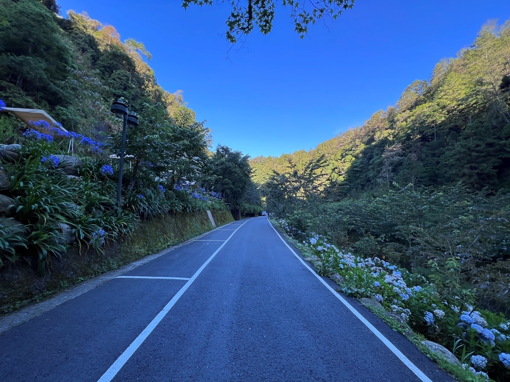 杉林溪森林生態渡假園區