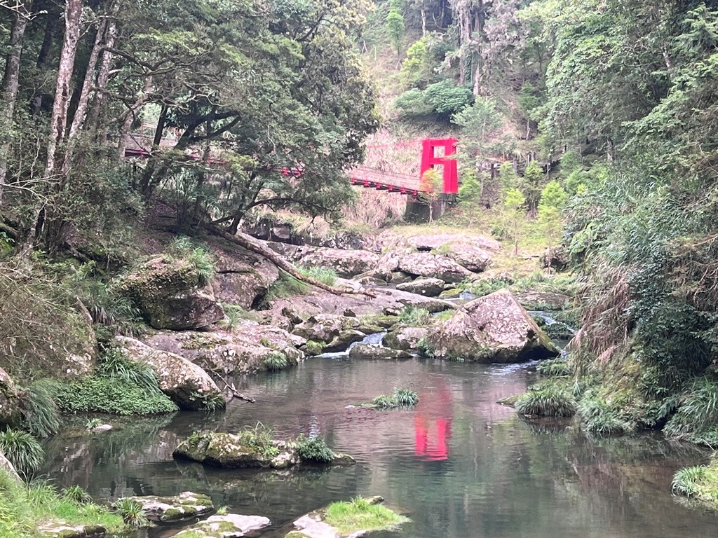 青龍蕨類步道