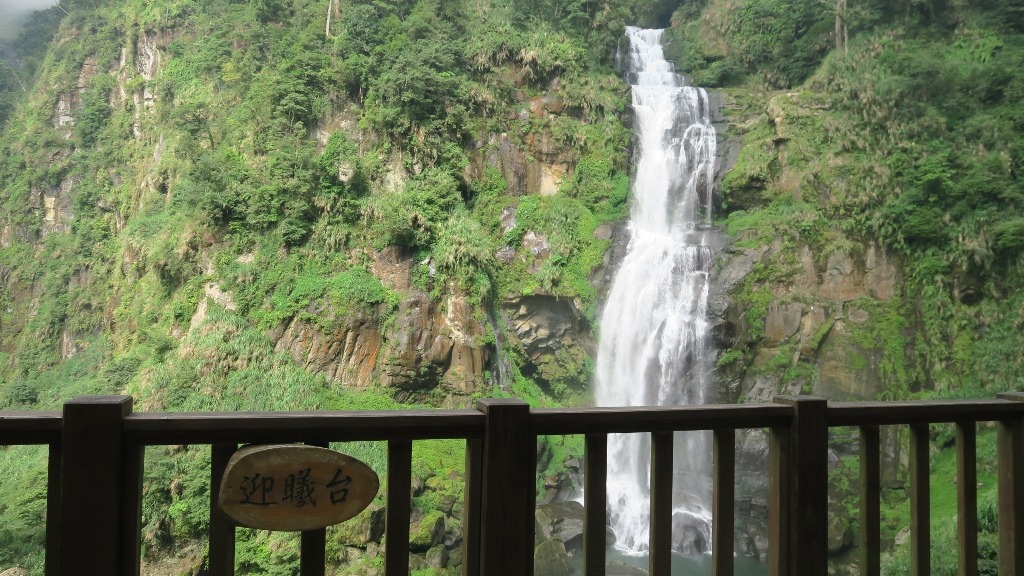 青龍蕨類步道