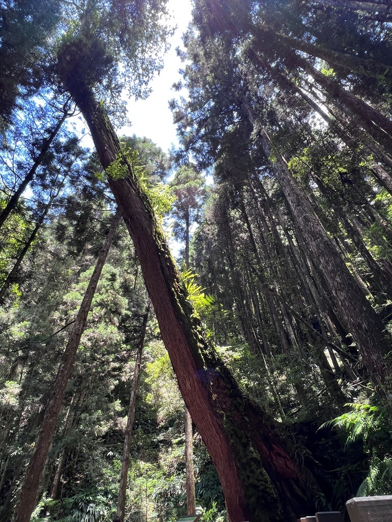 樂山步道