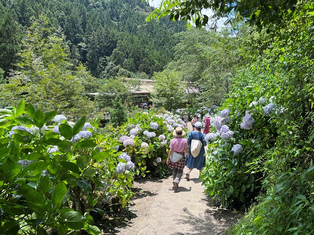 樂山步道