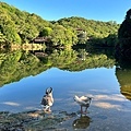 情人湖公園