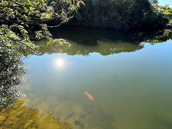 情人湖公園