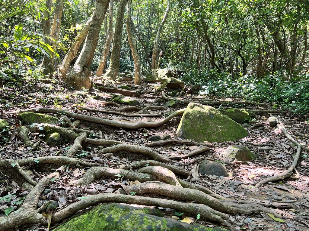 海興步道