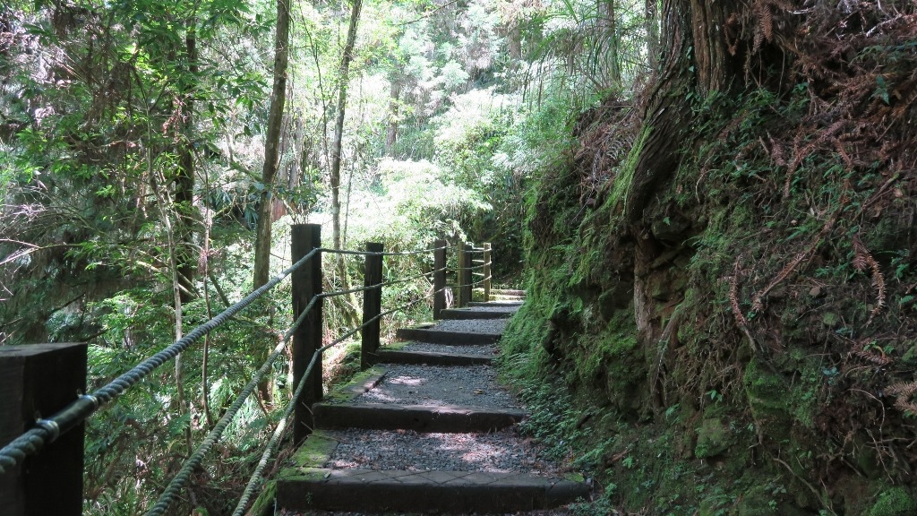 地眼步道