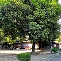蒜頭糖廠蔗埕文化園區
