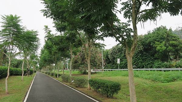 旺萊山愛情大草原