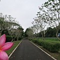 旺萊山愛情大草原