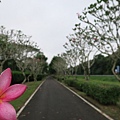 旺萊山愛情大草原