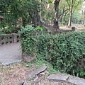 嘉義公園