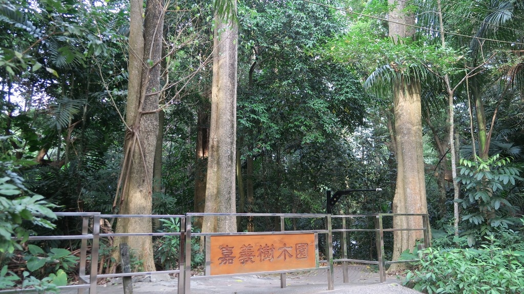 嘉義樹木園