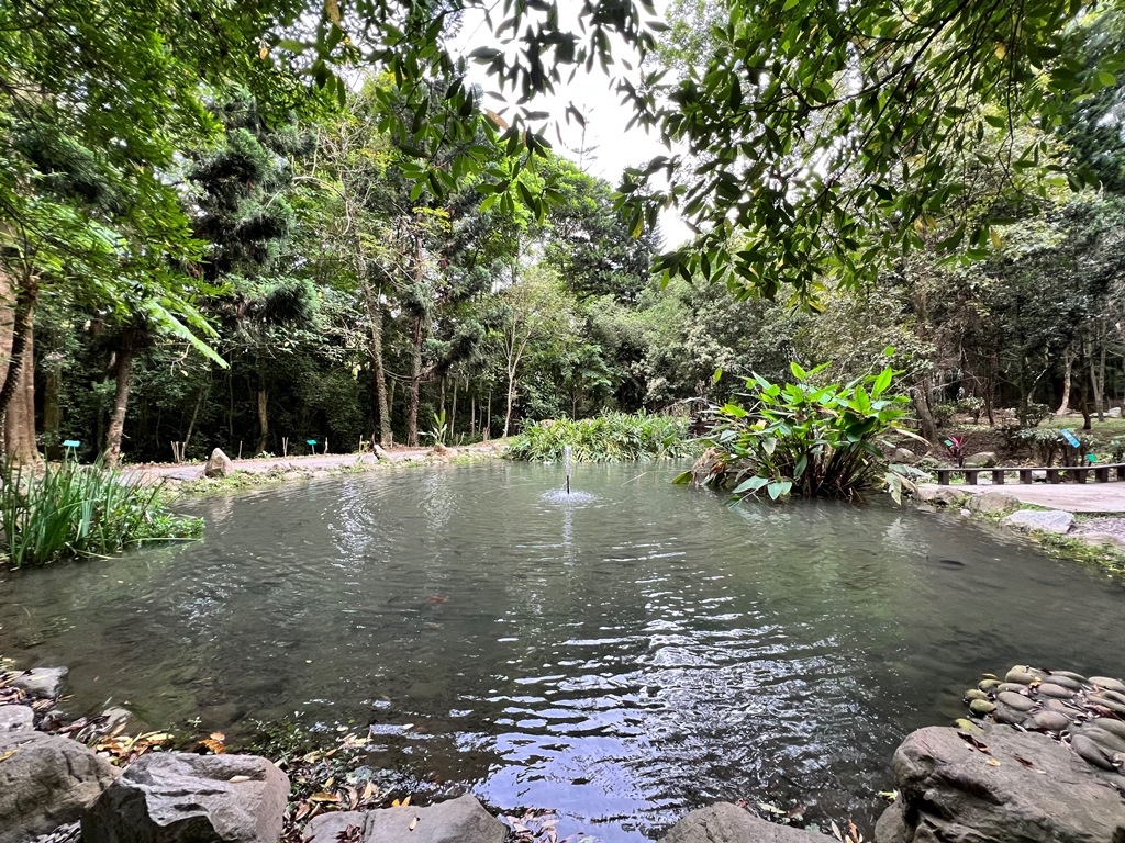 嘉義樹木園