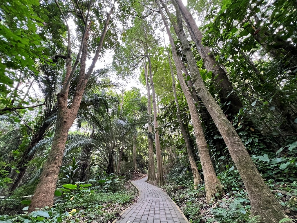 嘉義樹木園