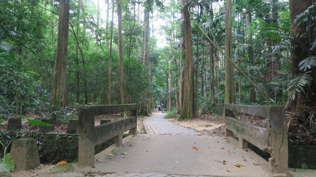 嘉義樹木園