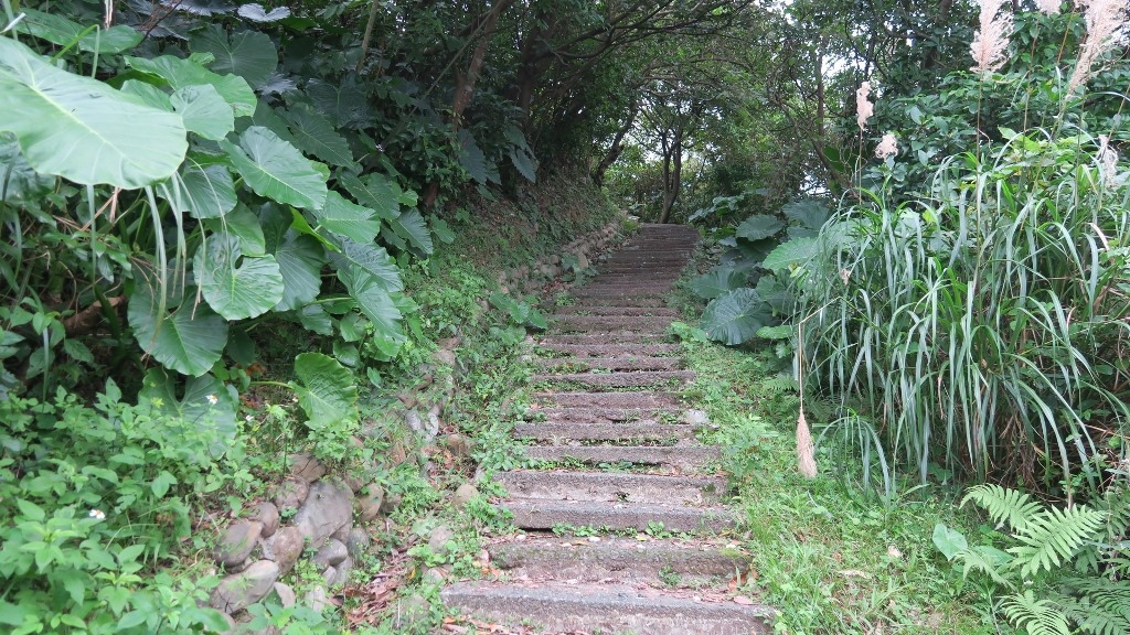 八斗子登山步道