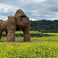 富里稻草藝術季