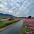 富里稻草藝術季