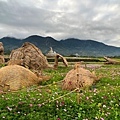 富里稻草藝術季