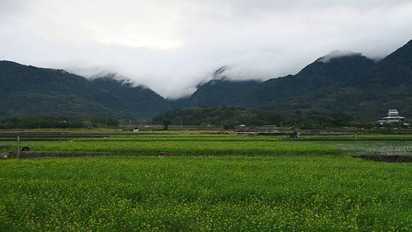 富里稻草藝術季