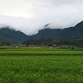 富里稻草藝術季