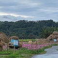 富里稻草藝術季