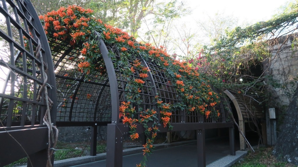 臺東森林公園