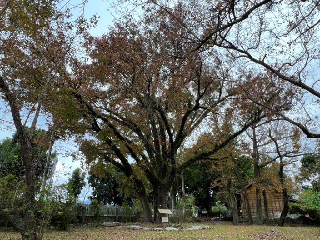 龍田國小校長宿舍