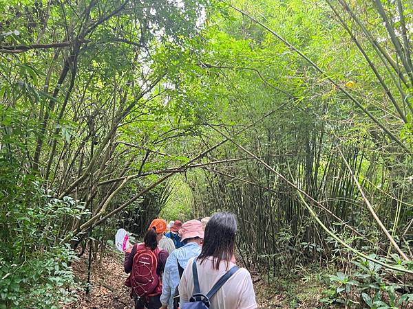 陽明山藍寶石泉秘境