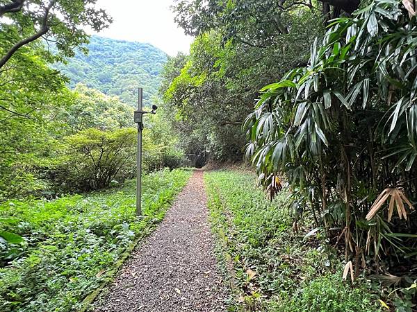 陽明山藍寶石泉秘境