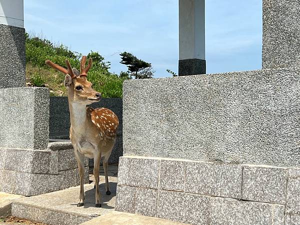 大坵島