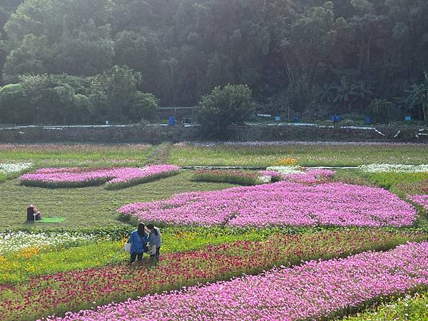 2023桃園花彩節