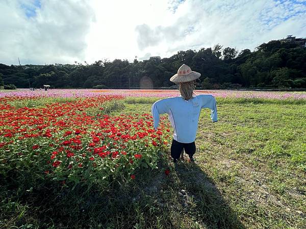 2023桃園花彩節