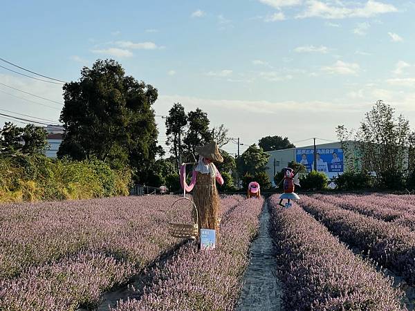 2023桃園仙草嘉年華