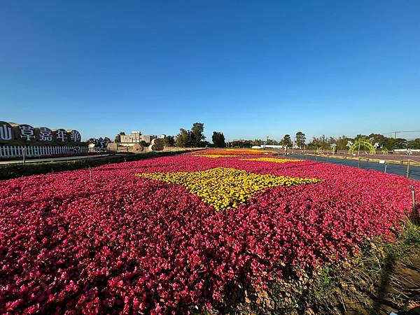 2023桃園仙草嘉年華