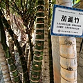 馬祖新村眷村文創園區