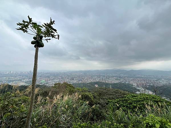 大同山步道