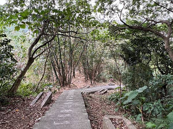 青龍嶺步道