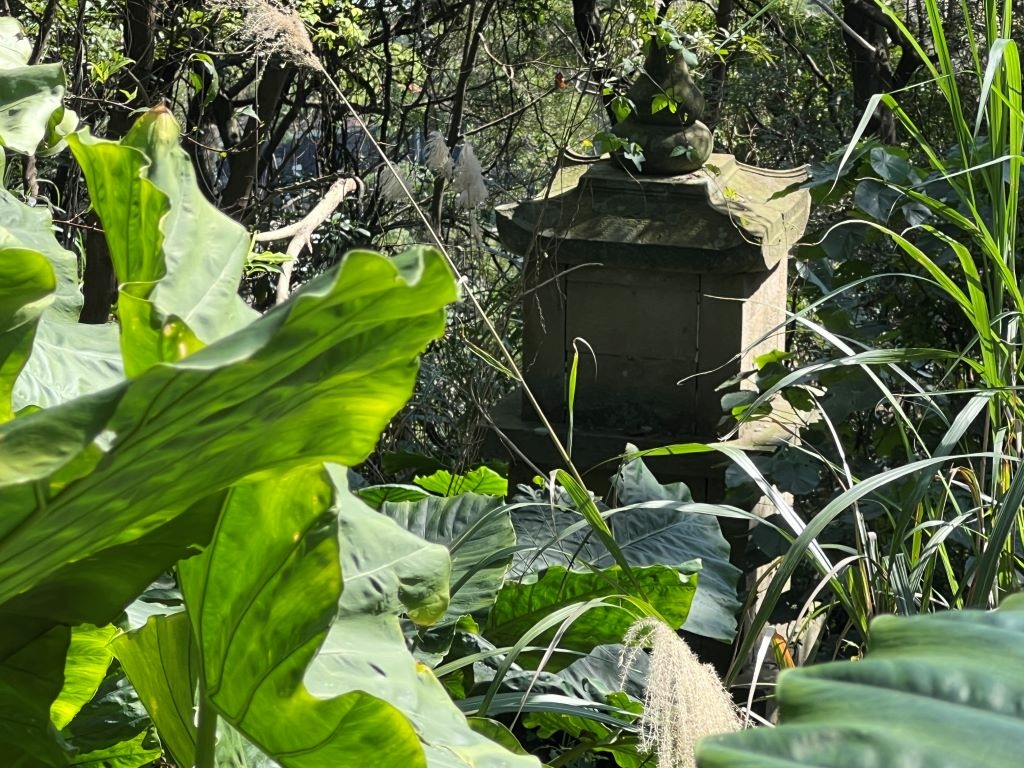 齋明寺