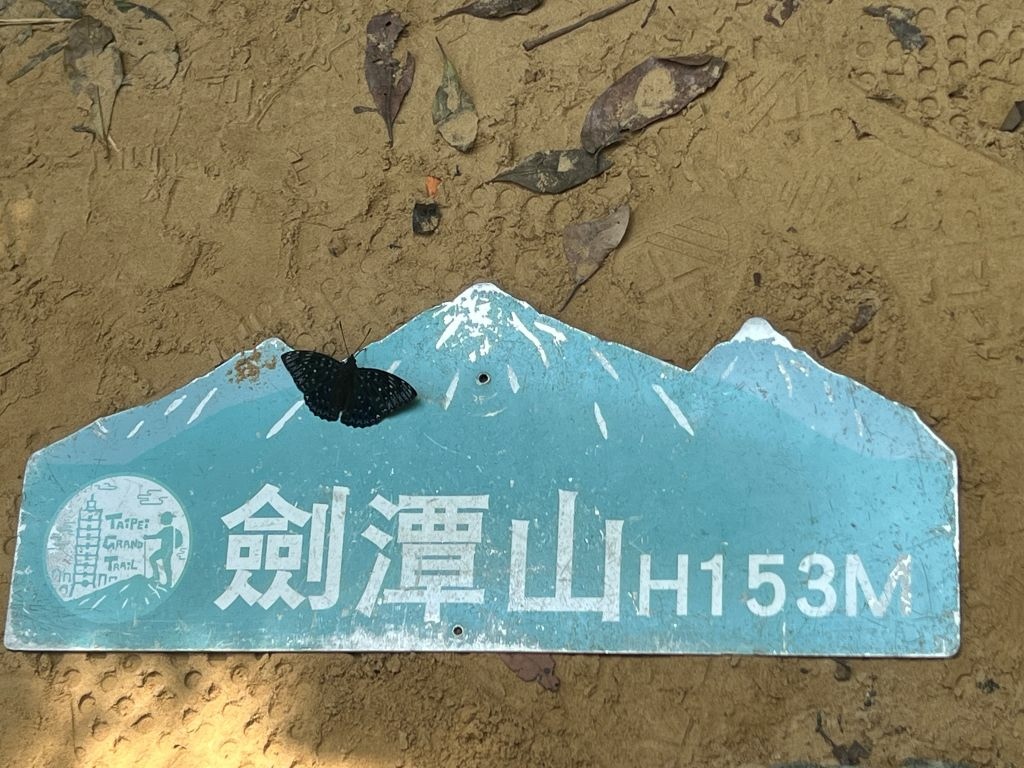 劍潭山登山步道