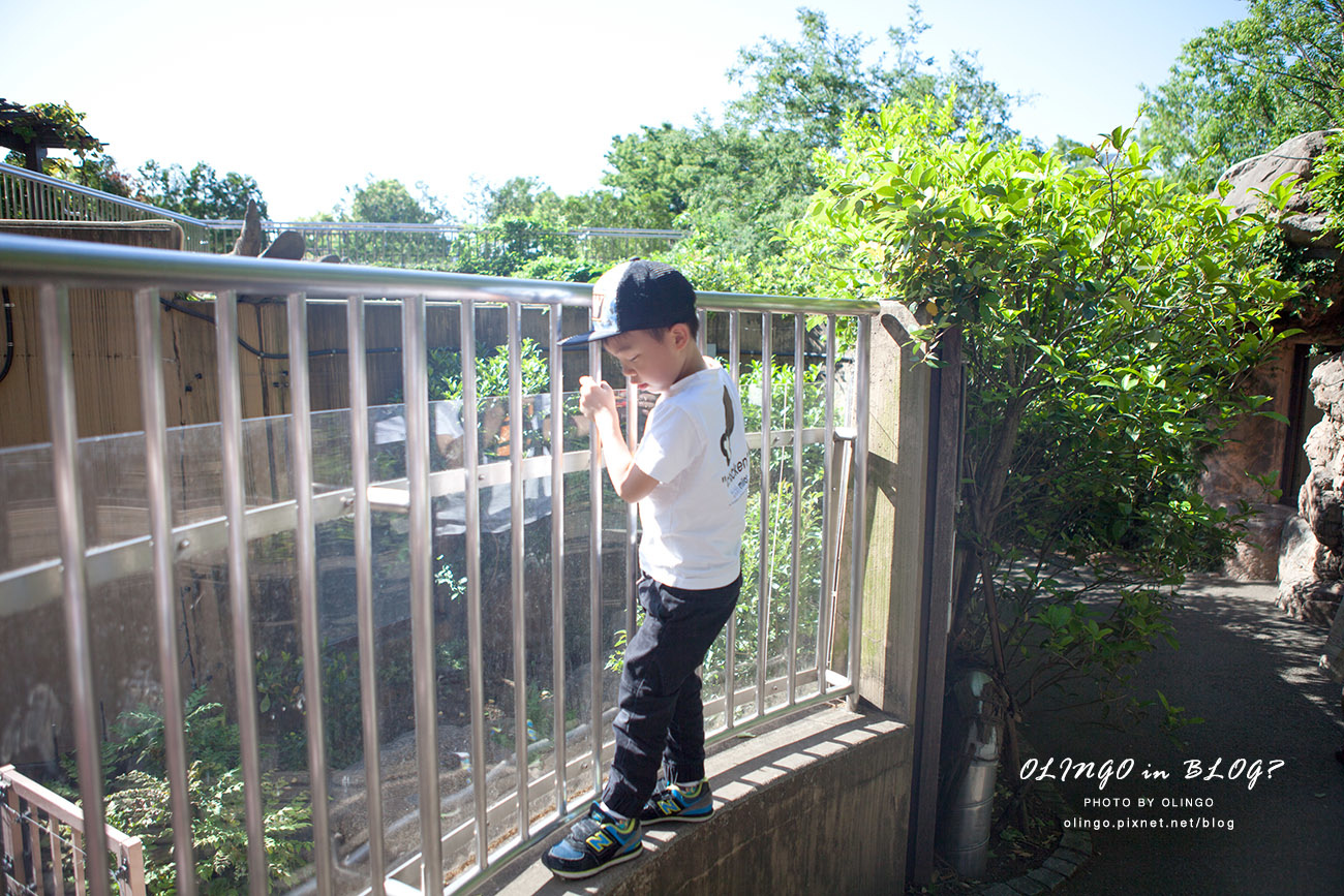IMG_6635拷貝.jpg IMG_6635拷貝.jpg